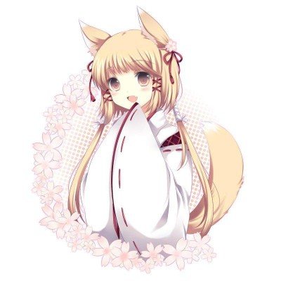 白日提灯开播